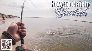 How To Catch Bluefish  PART 1  Long Island Surf Fishing Summer  Get Reel Bass Fishing [upl. by Oznerol]