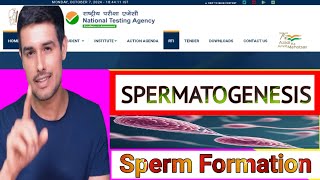 The ULTIMATE Guide to Spermatogenesis  How Your Boys Are Made [upl. by Korella]