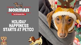 Holiday Happiness Starts at Petco 🎅🎄🐶 [upl. by Daberath]