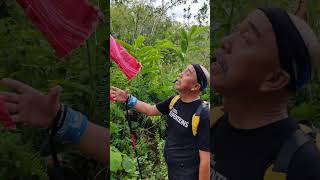 Purak pakou hill loop trail shortvideo adventure survival [upl. by Acinom]