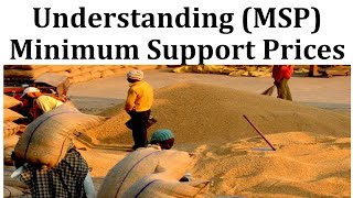 Understanding Minimum Support Prices MSP  Agriculture  Basics of Economy [upl. by Ahoufe142]