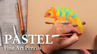 CRETACOLOR  PASTEL  Fine Art Pastel Pencil  CHAMELEON [upl. by Llekim]