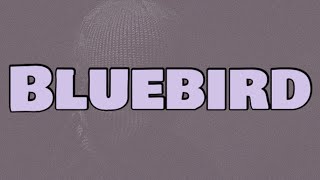 Offica  Bluebird Lyrics [upl. by Alat]