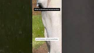 What is Emotional Horsemanship [upl. by Nomzed]