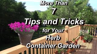 More Than 7 Tips and Tricks for Your Herb Container Garden  Real Examples [upl. by Cheyne]