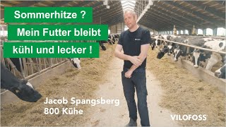 🐄 Hitzestress im Futter Die Temperatur mit Freshfoss senken Erfahrung Milchviehbetrieb 800 Kühe [upl. by Willet461]