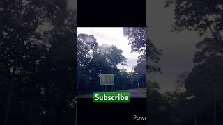 Nagarahole Tiger Reserve 🐅🌿🌳 Subscribe shorts viral Mysore HD Kote 🫎 [upl. by Kasey]