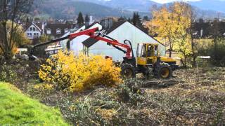 Gundelfinger ärgern sich über Rodung [upl. by Ingalls168]