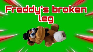 PB Freddys broken leg [upl. by Haleeuqa]