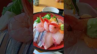 Sweet Shrimp season in Akune City Kagoshima Japan shrimp japan [upl. by Sauncho]