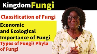 Kingdom Fungi Classification of Fungi  Importance of Fungi [upl. by Edgar739]