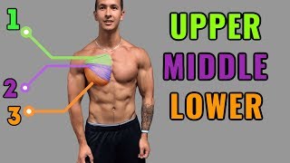 The Best ScienceBased Chest Workout for Mass amp Symmetry [upl. by Wendt]