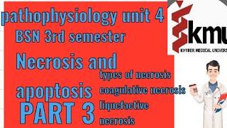 pathophysiology unit 4 BSN 3rd semester part 3 Necrosis and apoptosis types of necrosis coagulative [upl. by Drugge265]