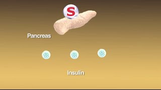 Sulfonylureas What Are They and How Do They Work [upl. by Remoh]