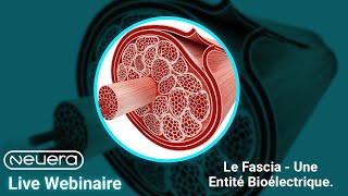 Webinaire Gratuit  Le Fascia  Une entité bioélectrique avec Nicolas Desjardins [upl. by Asela616]