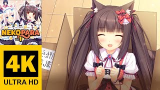 Episode 1  NEKOPARA Vol 1  Walkthrough No Commentary 4K [upl. by Essenaj]