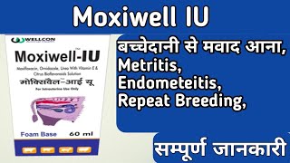 Moxiwell IU uses in hindi in cattle [upl. by Aivil]