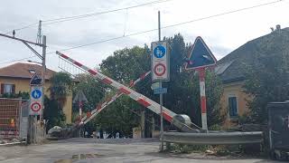 Bahnübergang Minusio CH  Swiss Railroad Crossing  Passaggio a livello [upl. by Loresz]