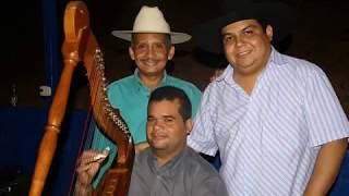 MUSICA LLANERA Demen Caña  Jean Ochoa [upl. by Anelaj]