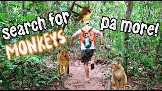 OMG ATTACKED BY MONKEYS in the PHILIPPINES 😱 [upl. by Inanuah442]