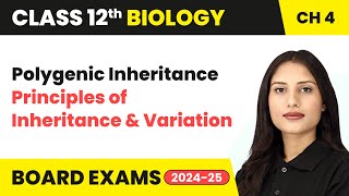 Polygenic Inheritance  Principles of Inheritance and Variation  Class 12 Biology Chapter 4  CBSE [upl. by Marras]