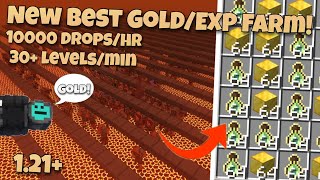 Minecraft 121 New BEST EXP amp GOLD Farm  10000 Dropshour  30 Levelsmin  Java Edition [upl. by Ziom]