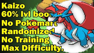 Pokemon Kaizo Ironmon is an impossible challenge [upl. by Urbano]