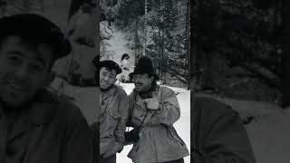 What Really Happened at Dyatlov Pass The Unsolved Mystery scarystories horrorstory horror [upl. by Neirb]