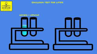 LIPIDS animation EMULSION TEST FOR LIPIDS [upl. by Sokil]