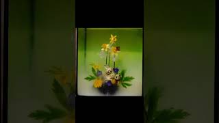 Ostara  submerged flowers photography short video [upl. by Cicero]