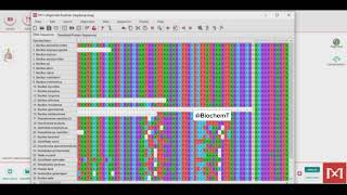 Construct Phylogenetic Tree  MEGA 11  biochemistry bioinformatics mega 11 [upl. by Giffer]