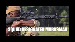 Squad Designated Marksman Course teaches critical skills [upl. by Vaules]