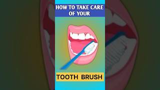 HOW TO TAKE CARE TOOTH BRUSH टूथब्रश कैसे ठीक रखे toothbrush toothpaste tooth dental shorts [upl. by Annait724]