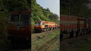 WDP4D Diesel Locomotive Powerful Honking shorts shortvideo indianrailways [upl. by Greenland38]