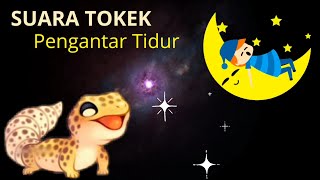 Suara Tokek Pengantar Tidur Nyenyak [upl. by Siwel187]