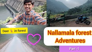 Kurnool to Srisailam bike Journey  Atmakuru to Dornala Forest ghat road  Adventure trip part1 [upl. by Loria360]