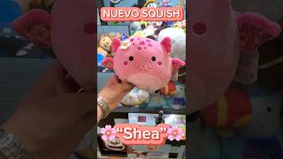 Así ganamos NUEVO squish Shea🌸 maquinadepeluches squishmallows muñelocos arcade clawmachine [upl. by Mcdowell297]