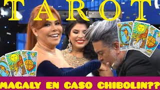 TAROT MAGALY EN CASO CHIBOLIN [upl. by Larissa79]