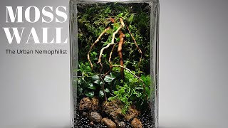 Moss Wall Terrarium  How to make a moss wall terrarium [upl. by Linc]