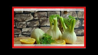 Fenchel zubereiten Rezepte zum Braten kochen oder roh essen [upl. by Iddet]