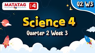 MATATAG Science 4 Quarter 2 Week 3 [upl. by Gnehp906]