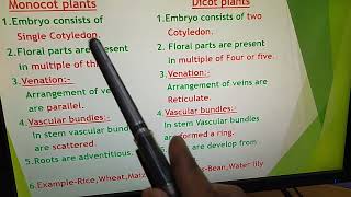 Difference between Monocot and Dicot plants [upl. by Ainekahs933]