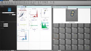 Improve accuracy in your flow cytometry data analysis with the Attune™ CytPix Flow Cytometer [upl. by Sylvan192]