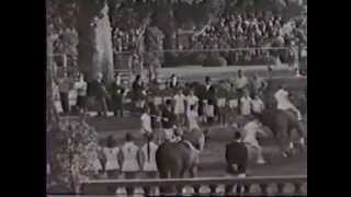 1963 1 German Championship in Wiesbaden Voltigieren  Voltige  Vaulting [upl. by Aroz]