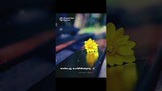 malayalam song marannuvo poomakale ആലാപനം മനോജ് [upl. by Cony35]