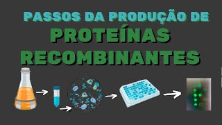 Como Produzir Proteínas Recombinantes [upl. by Charity]