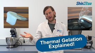 Thermal Gelation of TYLOPUR  Best Bite for PlantBased with Methylcellulose [upl. by Neda]