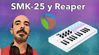 Usando SMK25 MVave con Reaper  configuración y mapeo básico [upl. by Aehsat177]