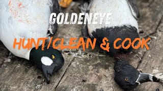 Goldeneye VS Ringneck VS Merganser taste test GOLDIE HUNT CLEAN AND COOK [upl. by Martres]