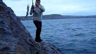 Mackerel fishing at Lydstep pembrokeshire [upl. by Assiral]